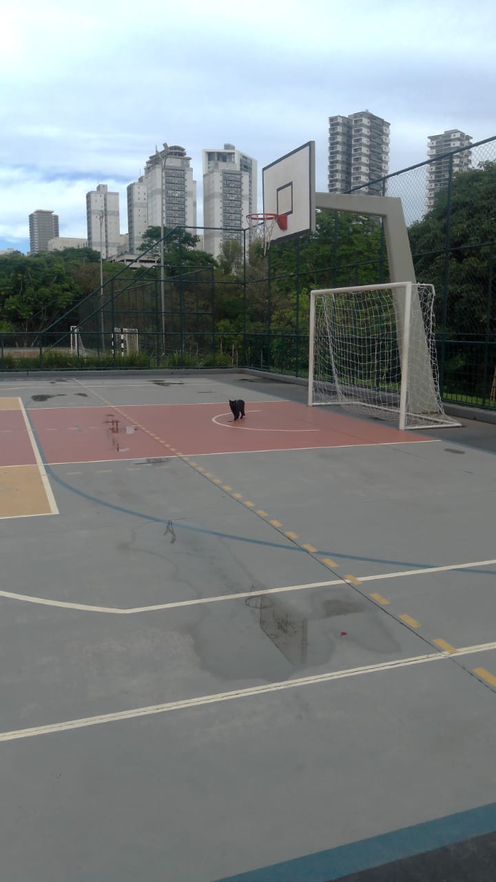 Foto de C.A. Antal Serviços de Pinturas Ltda